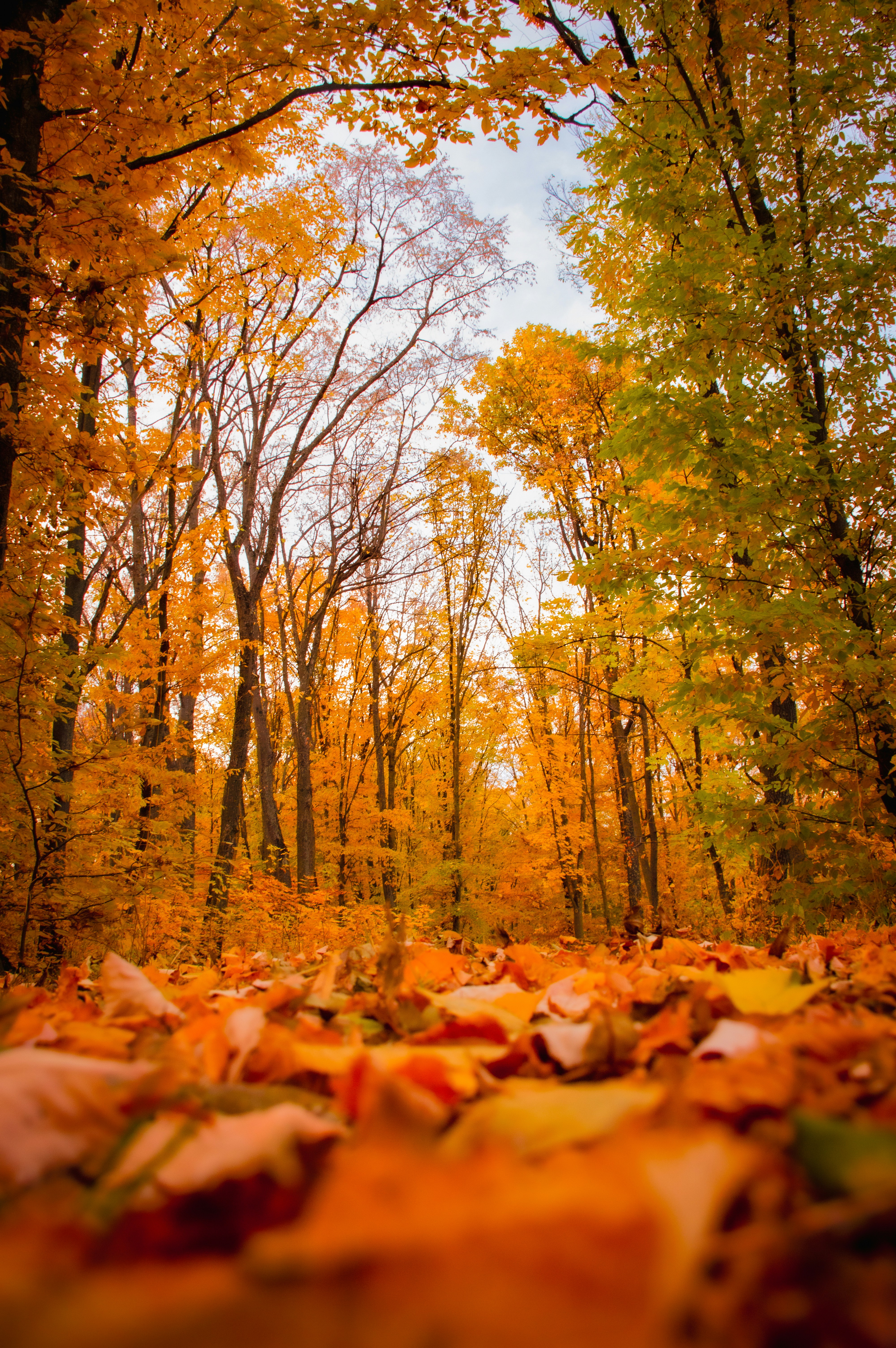 Autumn in Moldova