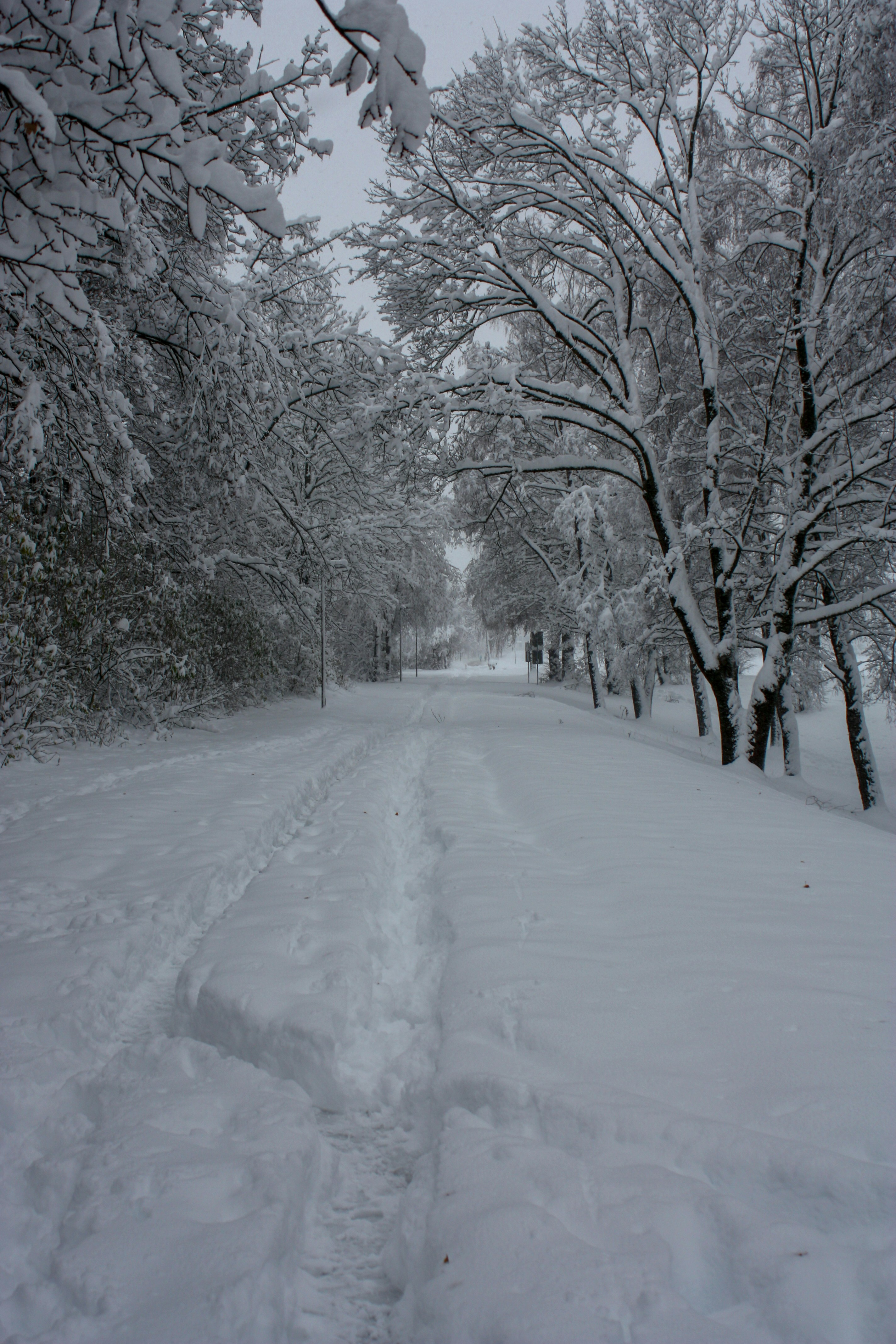 Winter in Moldova